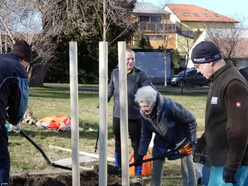 Sázení stromu na počest sv. Klementa Hofbauera
